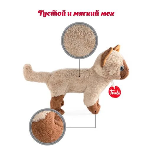 Gatito De Peluche En Bolsa Rosa Con Corazones 29 Cm ㅤ 2 Gatito De Peluche En Bolsa Rosa Con Corazones 29 Cm ㅤ - Imagen 2