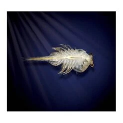 Aqua Dragons - Mundo Submarino 7 Aqua Dragons - Mundo Submarino -Toys R Us Ventas medias 2074