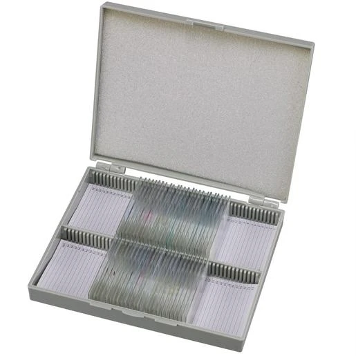 Bresser Muestras De Histología Preparadas Para Microscopio 1 Bresser Muestras De Histología Preparadas Para Microscopio