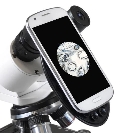 Microscopio Bresser Erudit Basic Binocular 40-400x 2 Microscopio Bresser Erudit Basic Binocular 40-400x - Imagen 2