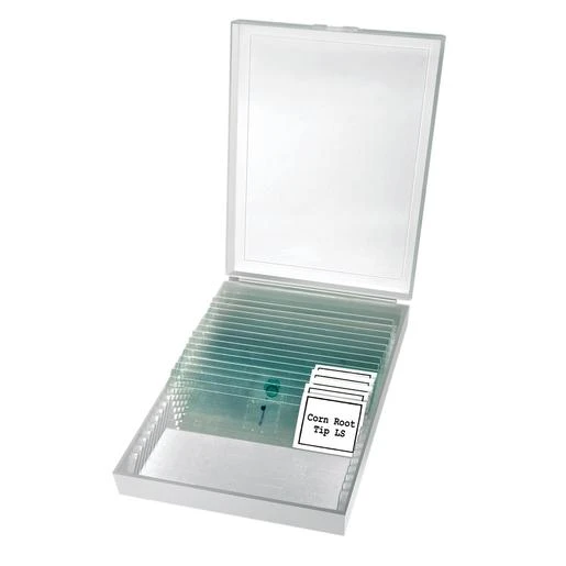 Microscopio Bresser Erudit Basic Binocular 40-400x 4 Microscopio Bresser Erudit Basic Binocular 40-400x - Imagen 4