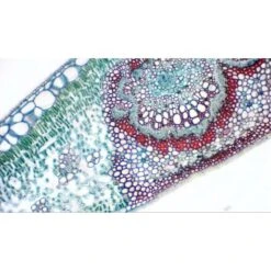 Cámara Ocular Bresser MikrOkular Full HD -Toys R Us Ventas medias 2458