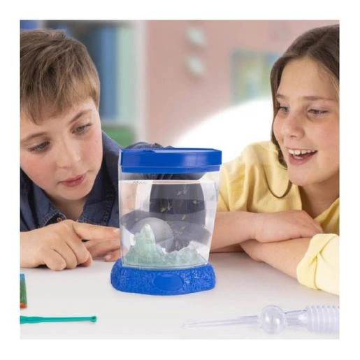 Aqua Dragons - Cambio De Color 2 Aqua Dragons - Cambio De Color - Imagen 2