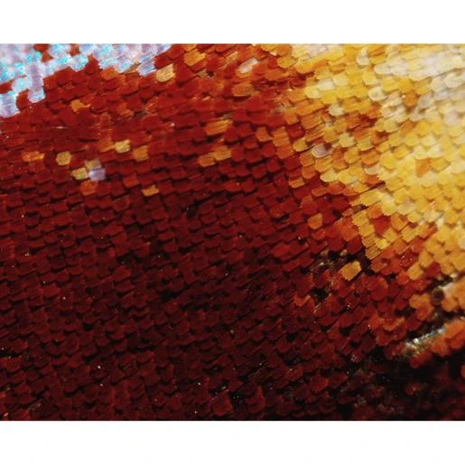 Microscopio Bresser De Enseñanza Con Monitor LCD De Pantalla Táctil Y Conexión HDMI 5 Microscopio Bresser De Enseñanza Con Monitor LCD De Pantalla Táctil Y Conexión HDMI - Imagen 5