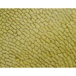 Microscopio Bresser De Enseñanza Con Monitor LCD De Pantalla Táctil Y Conexión HDMI 11 Microscopio Bresser De Enseñanza Con Monitor LCD De Pantalla Táctil Y Conexión HDMI -Toys R Us Ventas medias 2509